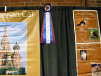 The CFA Intertional Cat Show